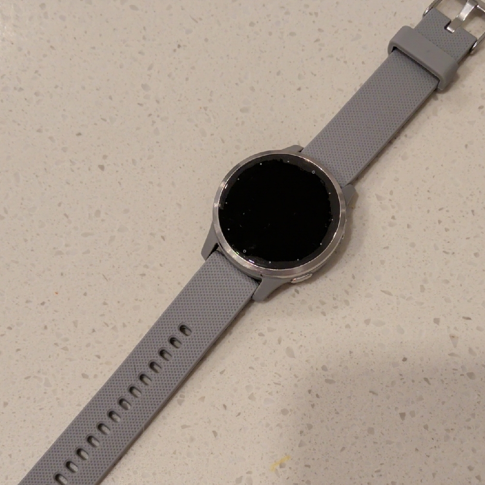 Garmin Vivoactive 4s Silver Stainless Steel Bezel Gray Case and Silicone Band